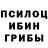 Псилоцибиновые грибы Magic Shrooms Pak_Sebastian