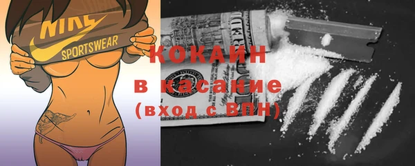 ГАЛЛЮЦИНОГЕННЫЕ ГРИБЫ Аркадак