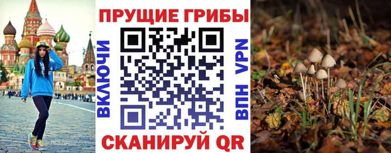 как найти закладки OMG ТОР Псилоцибиновые грибы MAGIC MUSHROOMS Полярные Зори